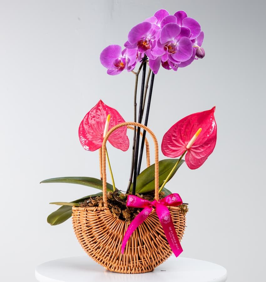 FLOWERBOXMOTHERSDAY-11