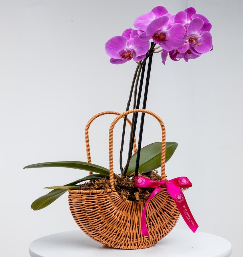 FLOWERBOXMOTHERSDAY-25