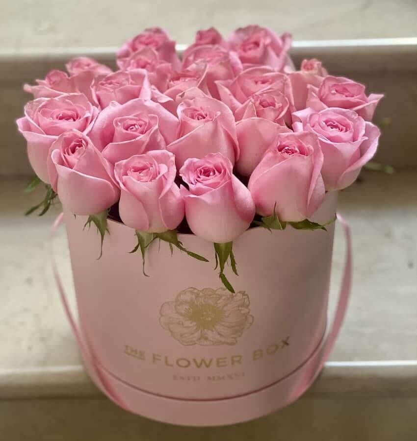 rosas rosas caja rosa (1) (1)